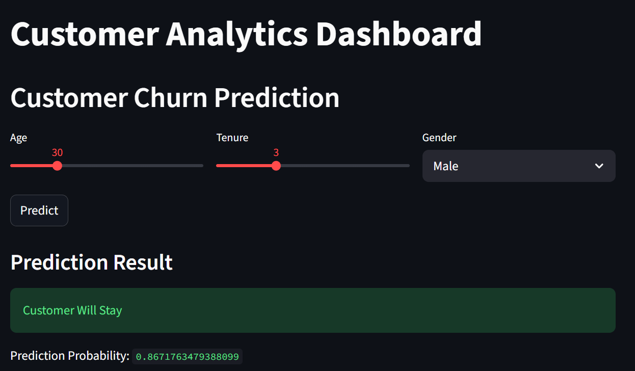 Customer Analytics Dashboard